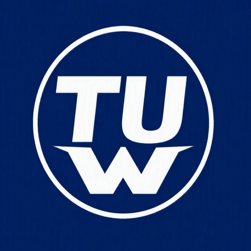 Top Universities logo image